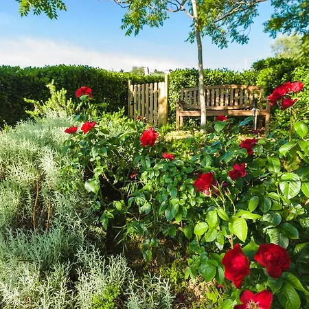 Farm stay Podere La Montalla *